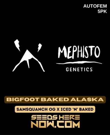 Mephisto Genetics - Bigfoot Baked Alaska {autofem} [5pk]