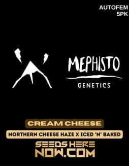 Mephisto Genetics - Cream Cheese {AUTOFEM} [5pk]Mephisto Genetics - Cream Cheese {AUTOFEM} [5pk]