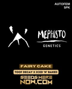 Fairy Cake (Autoflower) - Mephisto Genetics