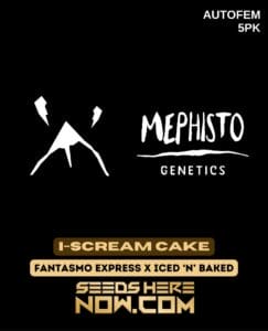 I-scream cake (autoflower) - mephisto genetics