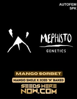 Mephisto Genetics - Mango Sorbet {AUTOFEM} [5pk]Mephisto Genetics - Mango Sorbet {AUTOFEM} [5pk]