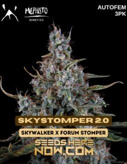 Skystomper 2.0 (Autoflower) - Mephisto GeneticsSkystomper 2.0 (autoflower) - Mephisto Genetics