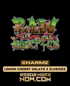 Charmz (Feminized) (space) Raw Genetics