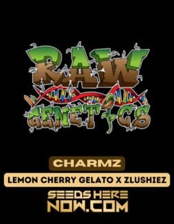 Raw Genetics - Charmz {FEM}Raw Genetics – Charmz