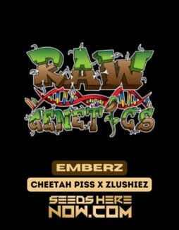 Raw Genetics - Emberz {FEM}Raw Genetics – Emberz