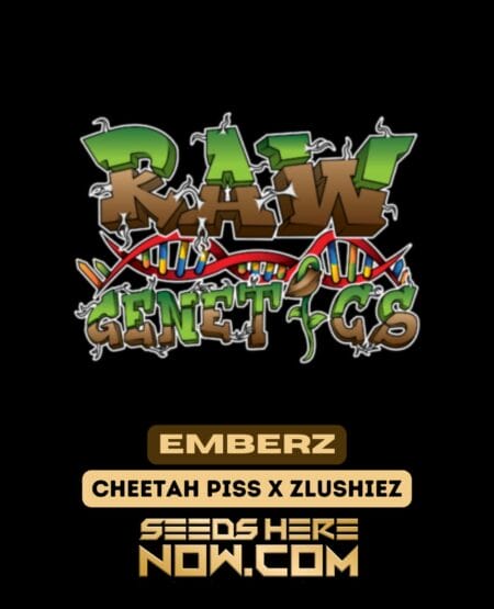 Raw Genetics – Emberz