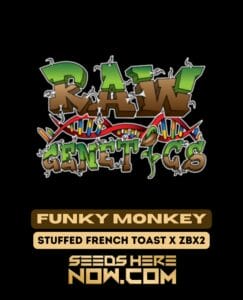 Funky Monkey (regular) - Raw Genetics