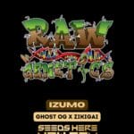 Izumo (Regular) - Raw Genetics