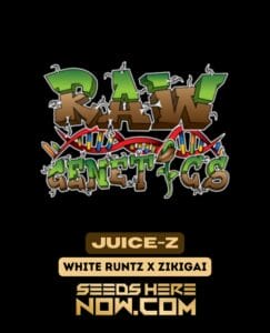 Juice-z (regular) - Raw Genetics