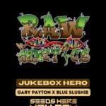 JukeBox Hero (Feminized) - Raw Genetics