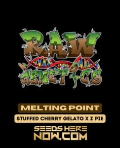 Melting Point (feminized) - Raw Genetics