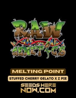 Raw Genetics - Melting Point {FEM}Raw Genetics – Melting Point