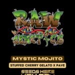 Mystic Mojito (Feminized) - Raw Genetics