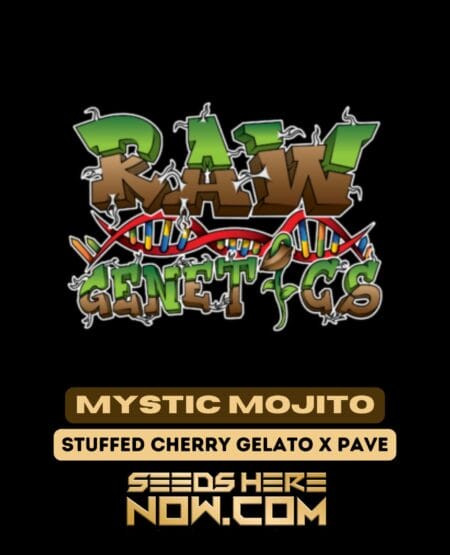 Raw Genetics – Mystic Mojito