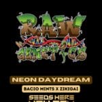 Neon Daydream (Regular) - Raw Genetics