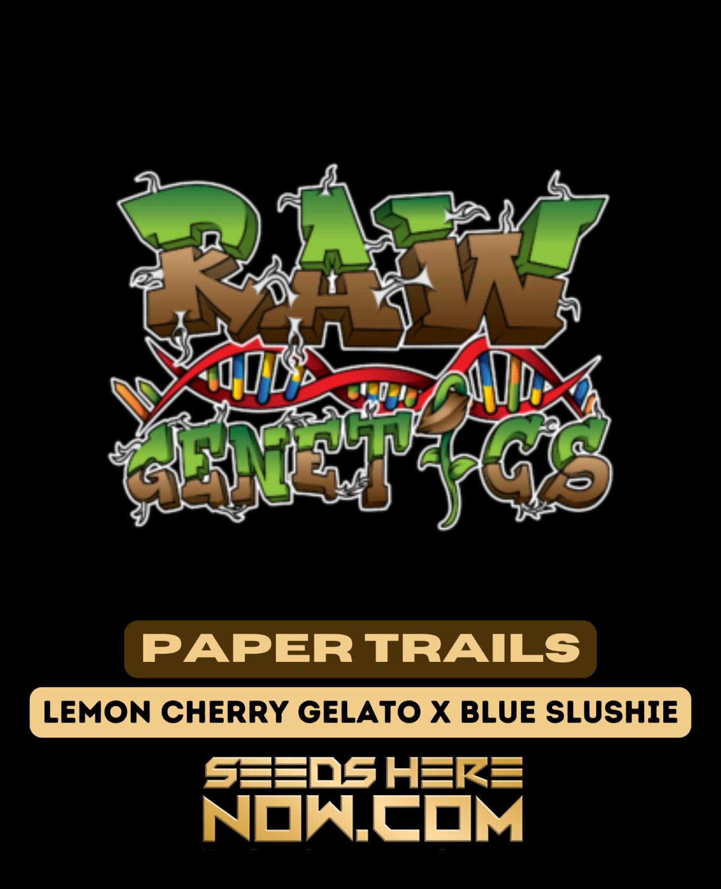 Paper Trails (Feminized) - Raw Genetics