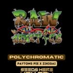 Polychromatic (Regular) - Raw Genetics