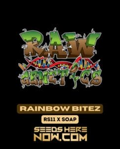 Rainbow Bitez (feminized) - Raw Genetics