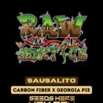 Sausalito (Feminized) - Raw Genetics