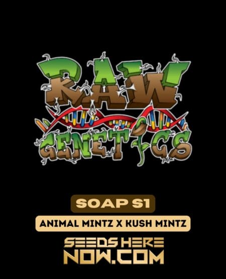 Raw Genetics – Soap S1