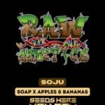 Soju (Feminized) - Raw Genetics