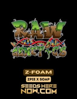 Raw Genetics - Z-Foam {FEM}Raw Genetics – Z-Foam