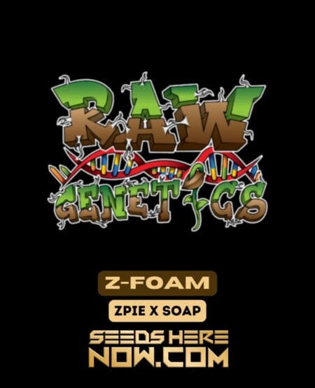 Raw Genetics – Z-foam