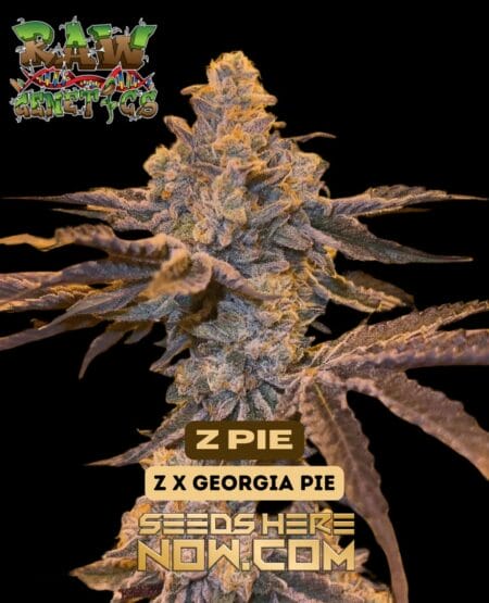 Raw Genetics – Z Pie