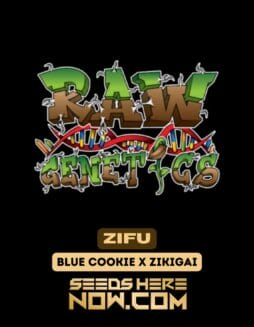 Raw Genetics - Zifu {REG}Raw Genetics – Zifu