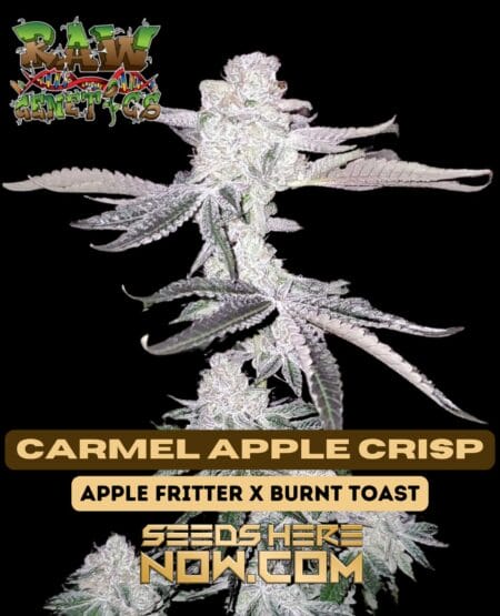 Carmel Apple Crisp (regular) - Raw Genetics