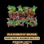 Rainbow Buns (Regular) - Raw Genetics