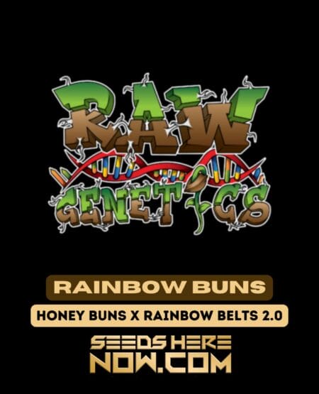 Rainbow Buns (Regular) (space) Raw Genetics