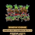 Snow Cone (Regular) - Raw Genetics