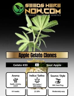 BHC - Apple Gelato Clones