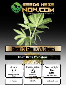 BHC - Chem 91 Skunk VA Clones