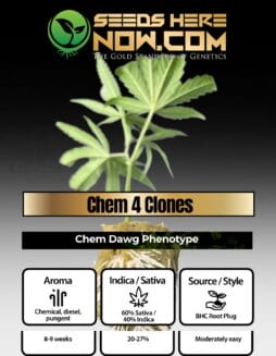 BHC - Chem 4 Clones