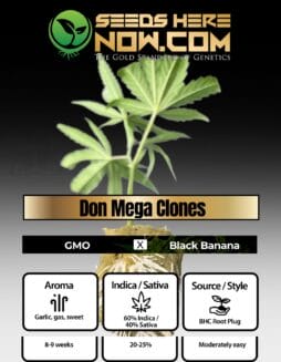 BHC - Don Mega Clones