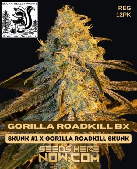 Skunk Really Works - Gorilla Roadkill Bx {reg} [12pk]