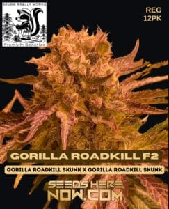 Gorilla roadkill f2 (regular) - skunk really works