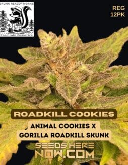 Roadkill Cookies (Regular) - Skunk Really WorksRoadkill Cookies (Regular) - Skunk Really Works