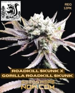 Roadkill skunk x gorilla roadkill skunk (regular) - skunk really works