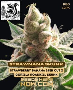 Strawnana Skunk (regular) - Skunk Really Works