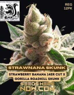 Skunk Really Works - StrawNana Skunk {REG} [12pk]Skunk Really Works - StrawNana Skunk {REG} [12pk]