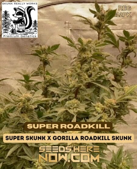 Skunk Really Works - Super Roadkill {reg} [12pk]