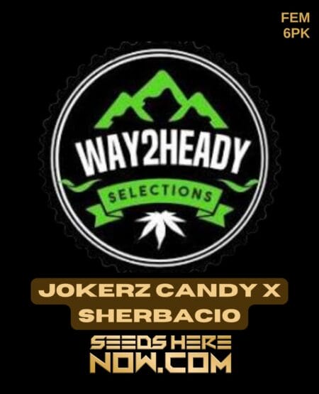 Way2heady Selections - Jokerz Candy X Sherbacio {fem} [6pk]