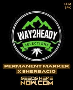 Permanent Marker X Sherbacio (feminized) - Way2heady Selections