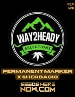 Way2heady Selections - Permanent Marker x Sherbacio {FEM} [6pk]Way2heady Selections - Permanent Marker x Sherbacio {FEM} [6pk]