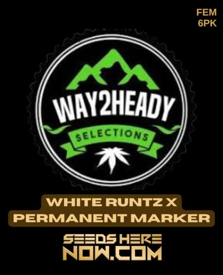 Way2heady Selections - White Runtz X Permanent Marker {fem} [6pk]