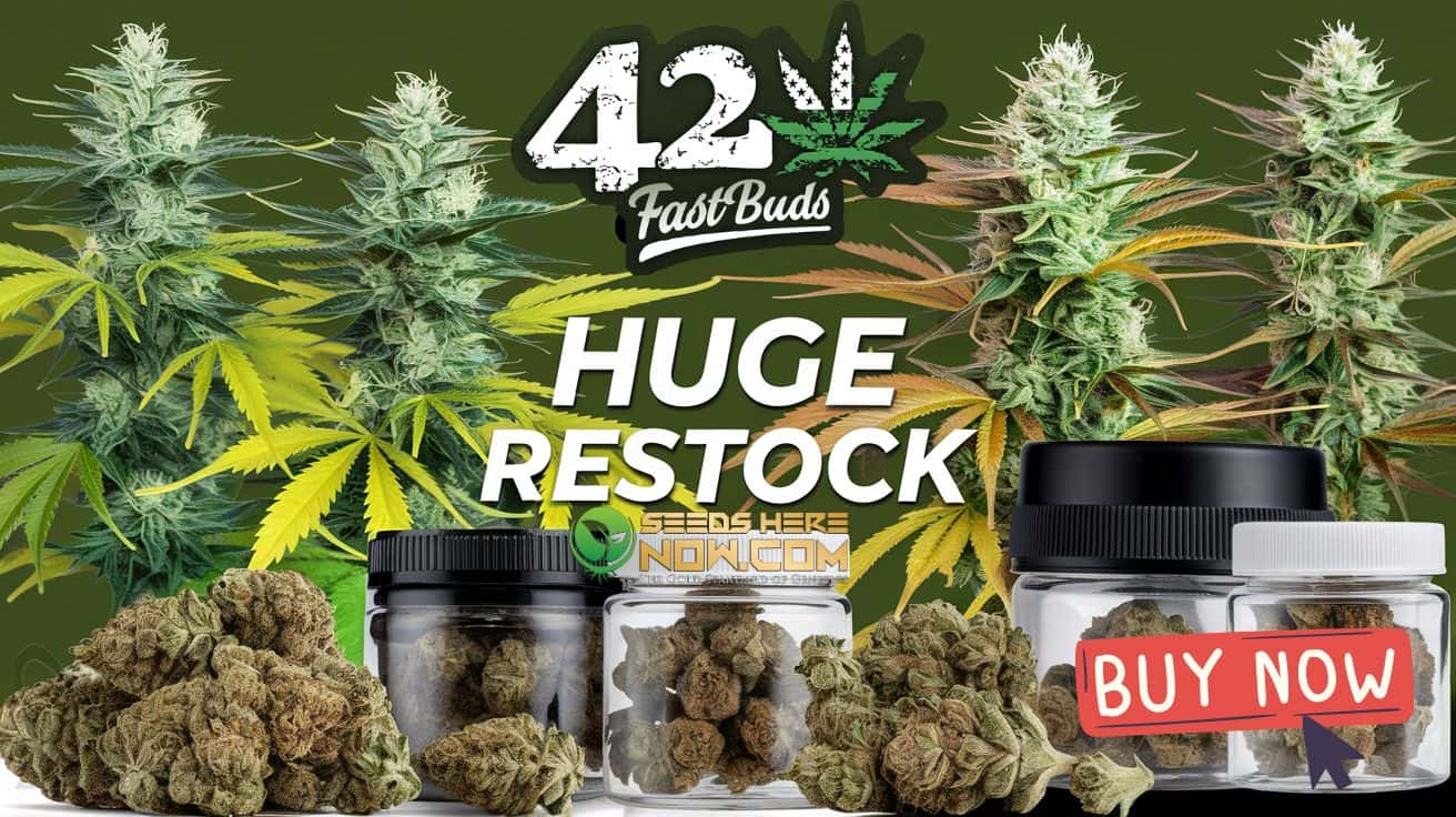 Fast Buds restock