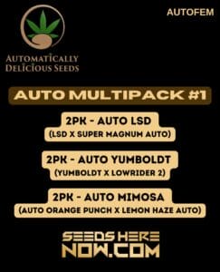 Auto Multipack #1 (Autoflower) - Automatically Delicious